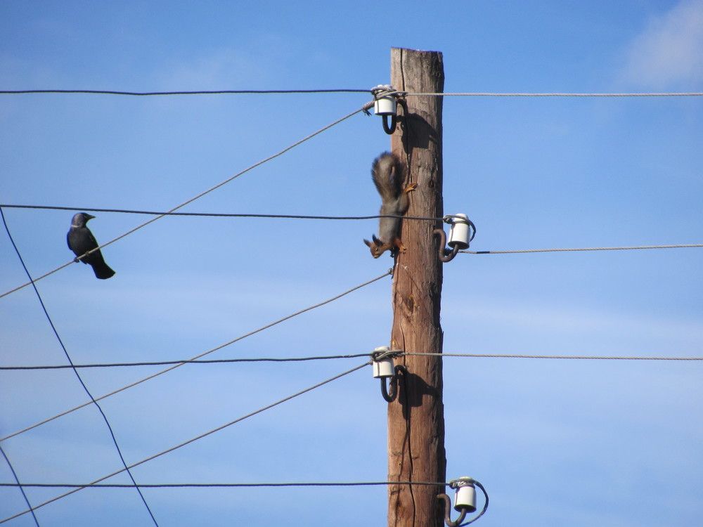 Photo #11228621
