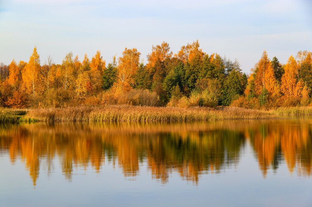 Осень в Дубне. Лебяжье озеро.