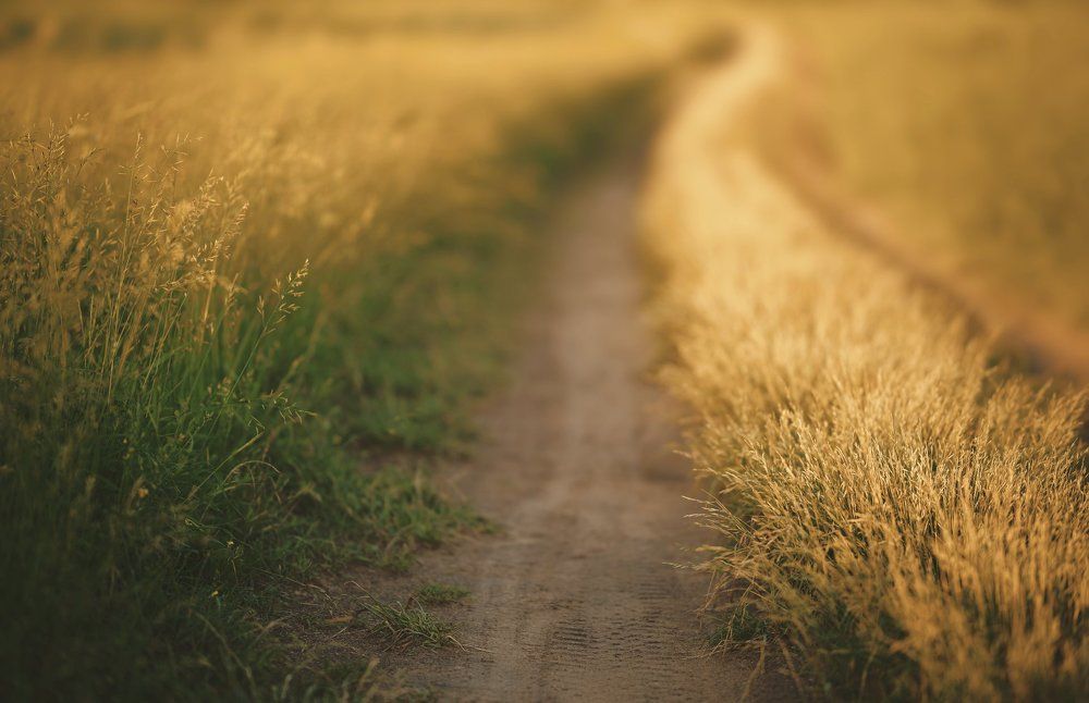 Photograph by Бодрый Славик