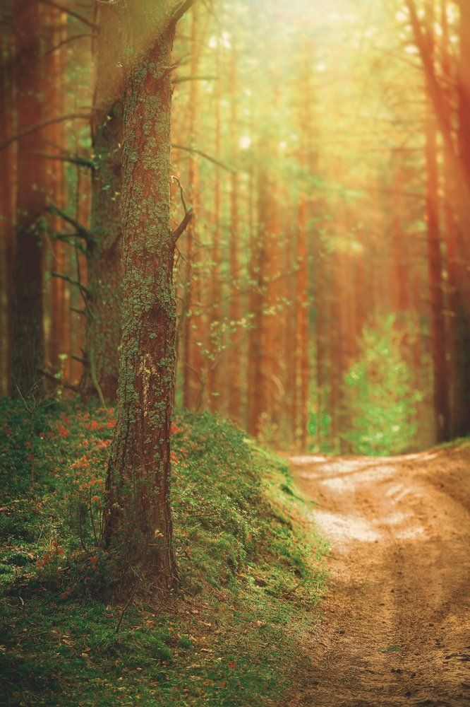 Photograph by Бодрый Славик