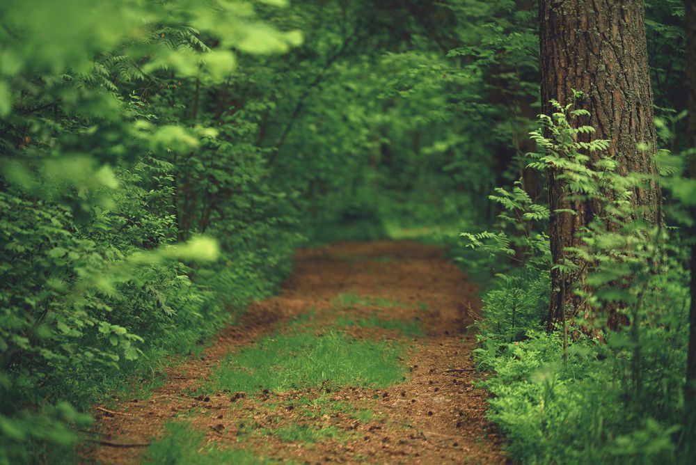 Photograph by Бодрый Славик