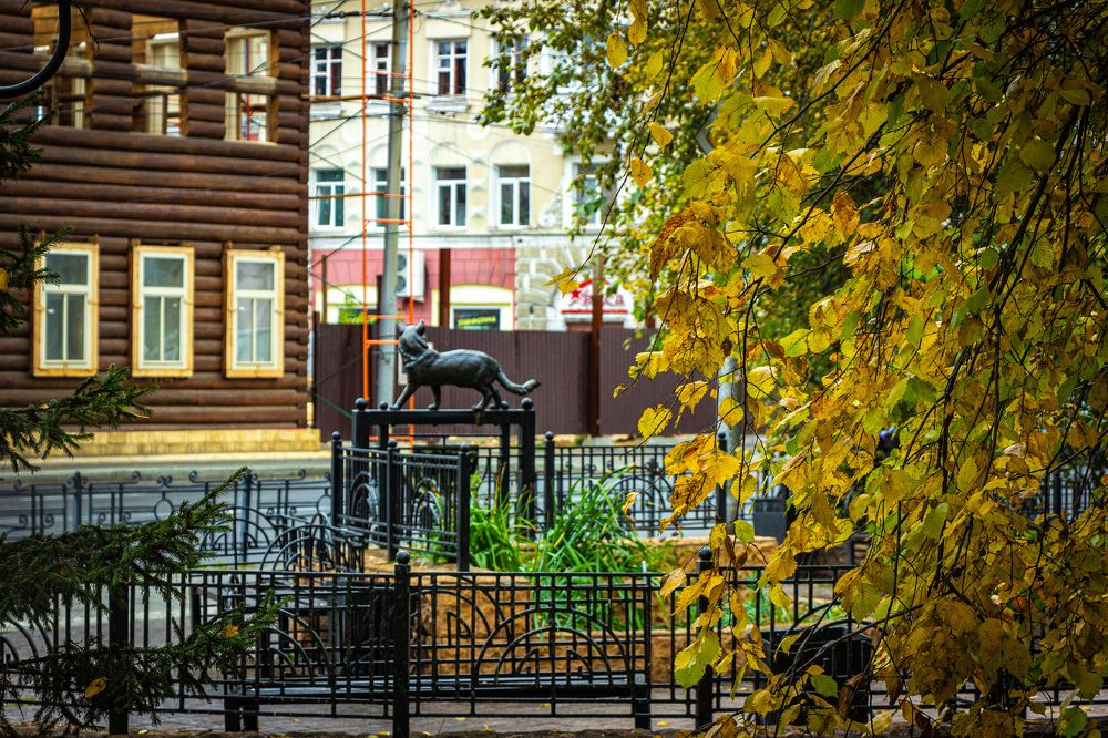 Photograph by Владимир Сушкин