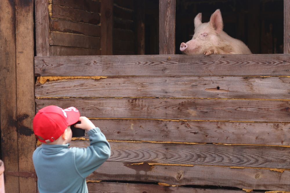 Photograph by Светлана Фёдорова