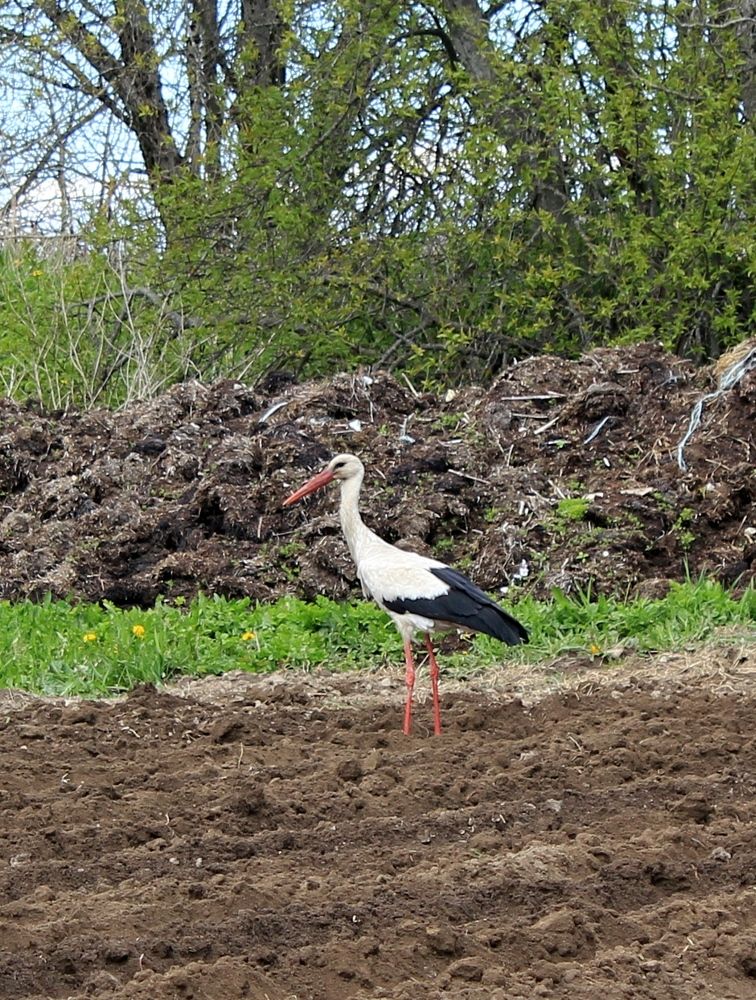 Photograph by Olga Bagaeva