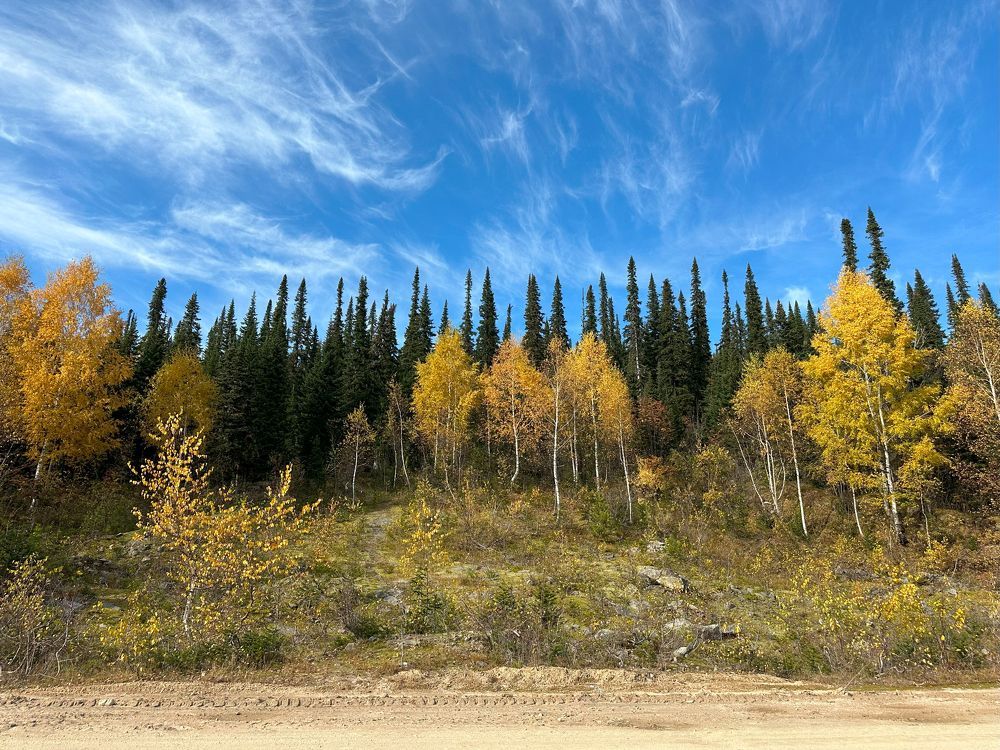 Photograph by Anastasiya Buller