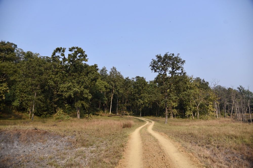 Фотография автора Aryaman Dhiman