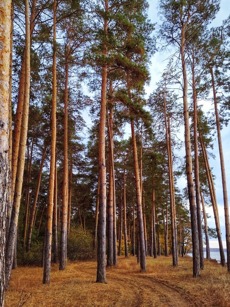 Photograph by Марина Мальцева