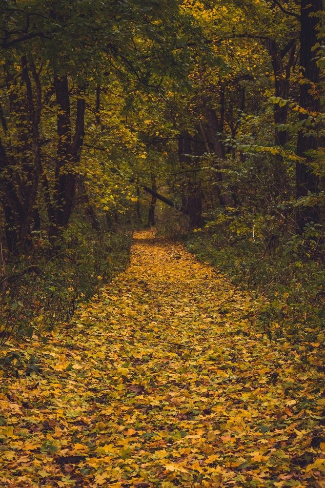 Photograph by Рымаров Александр