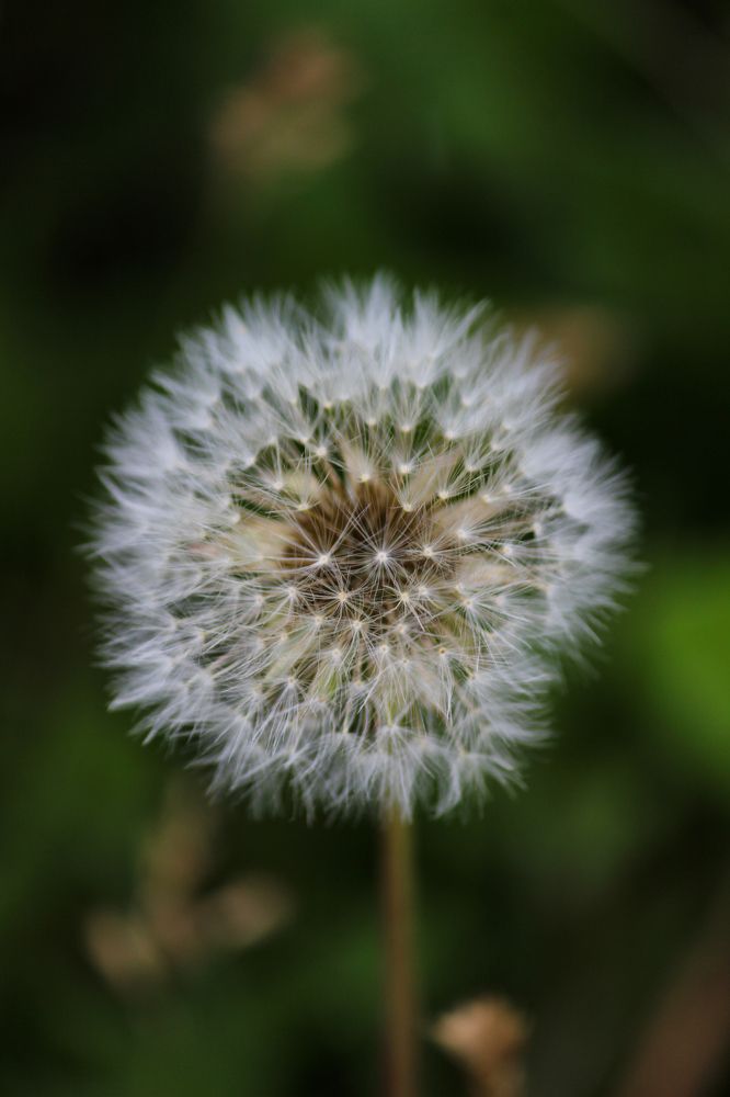 Photograph by Ангелина Бровко