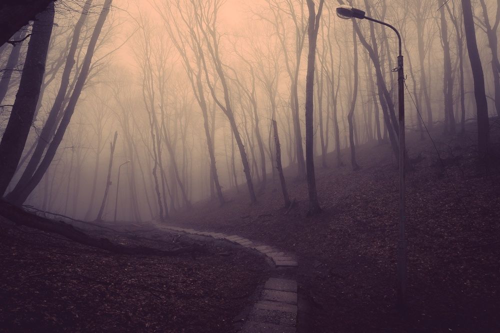 Photograph by Рымаров Александр