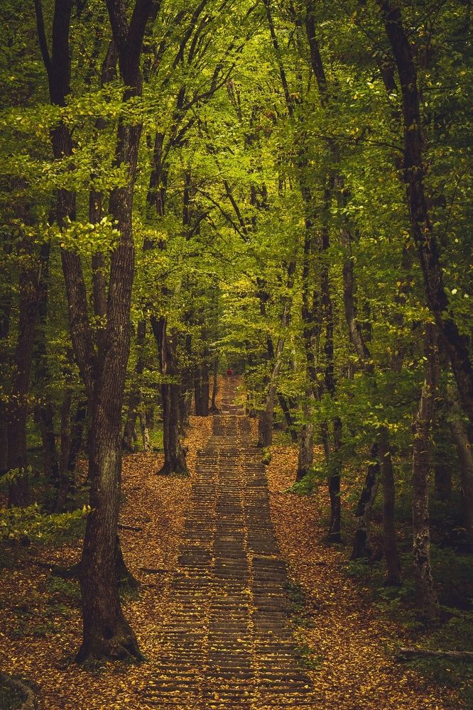 Photograph by Рымаров Александр