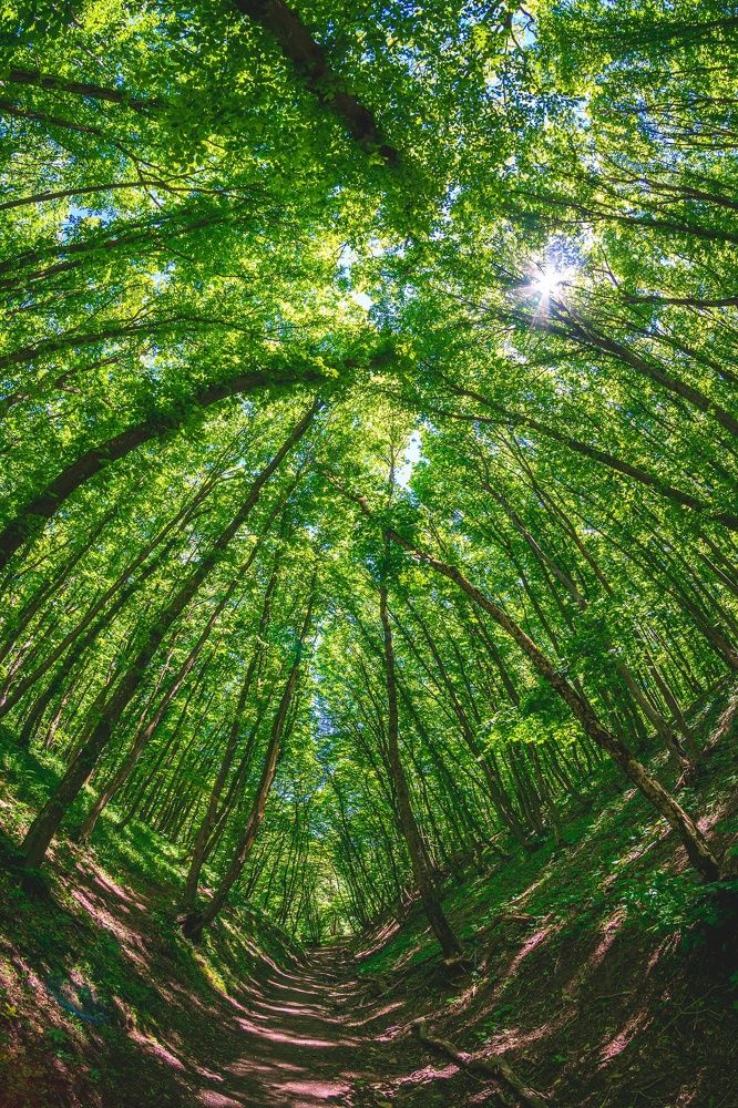 Photograph by Рымаров Александр