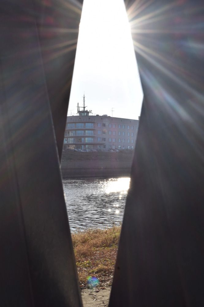 Photograph by Арина Черникова