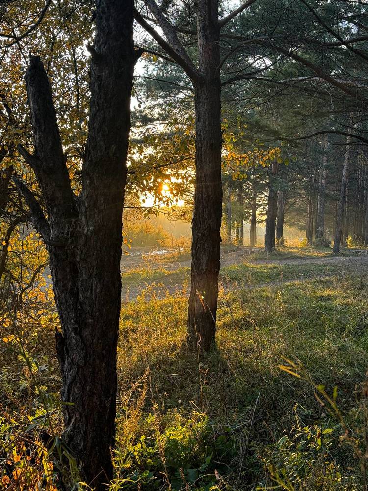 Photograph by Нина Верхотурова