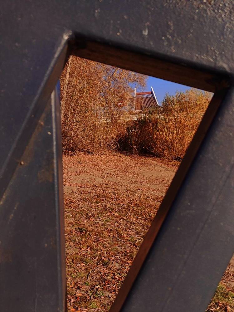 Photograph by Арина Черникова