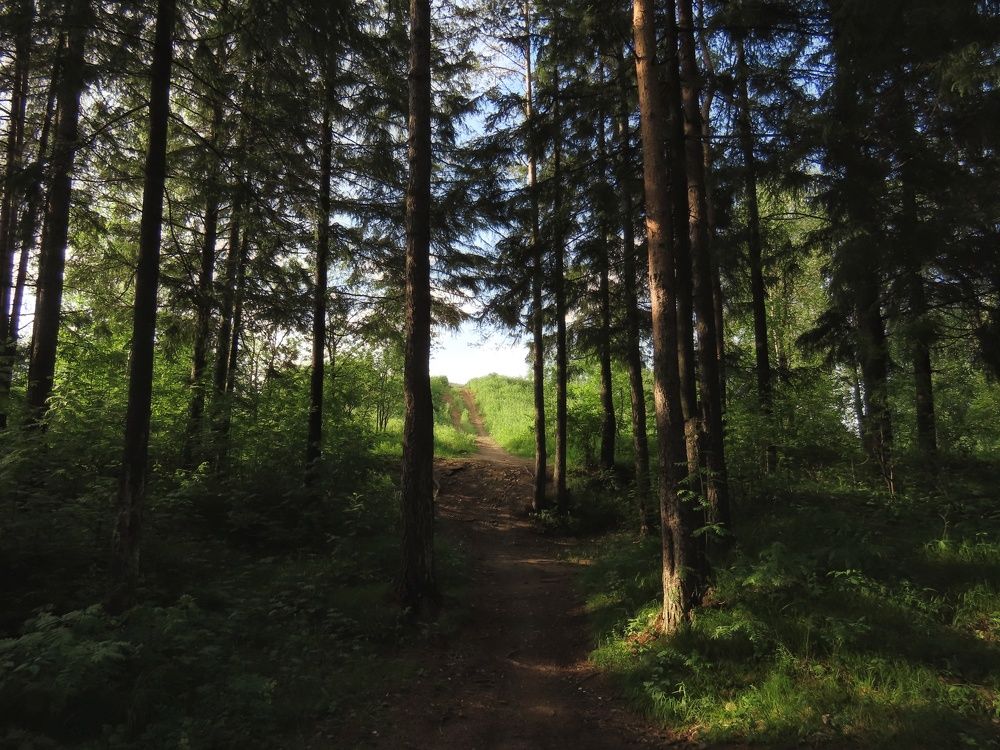 Фотография автора Екатерина Солохина