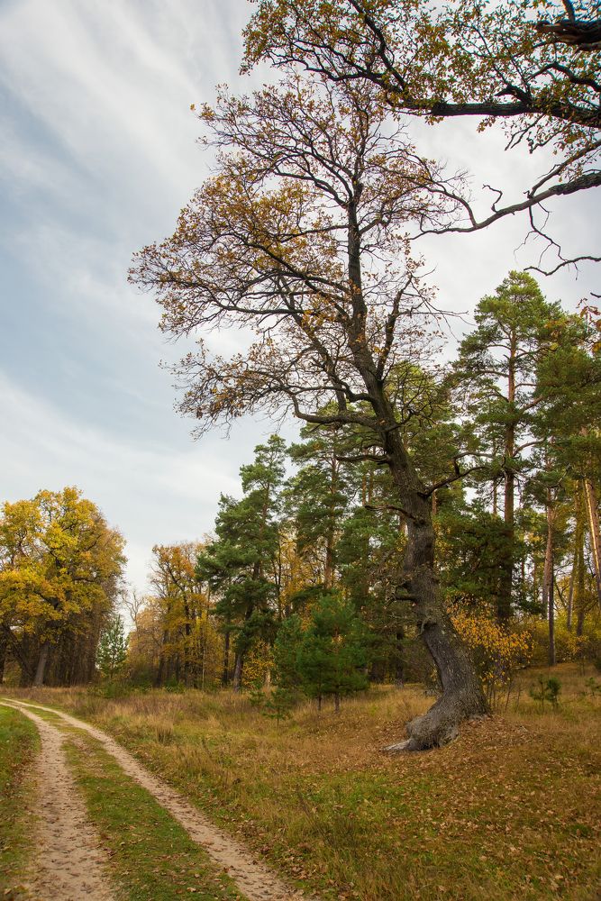 Photograph by Андрей Чуйков