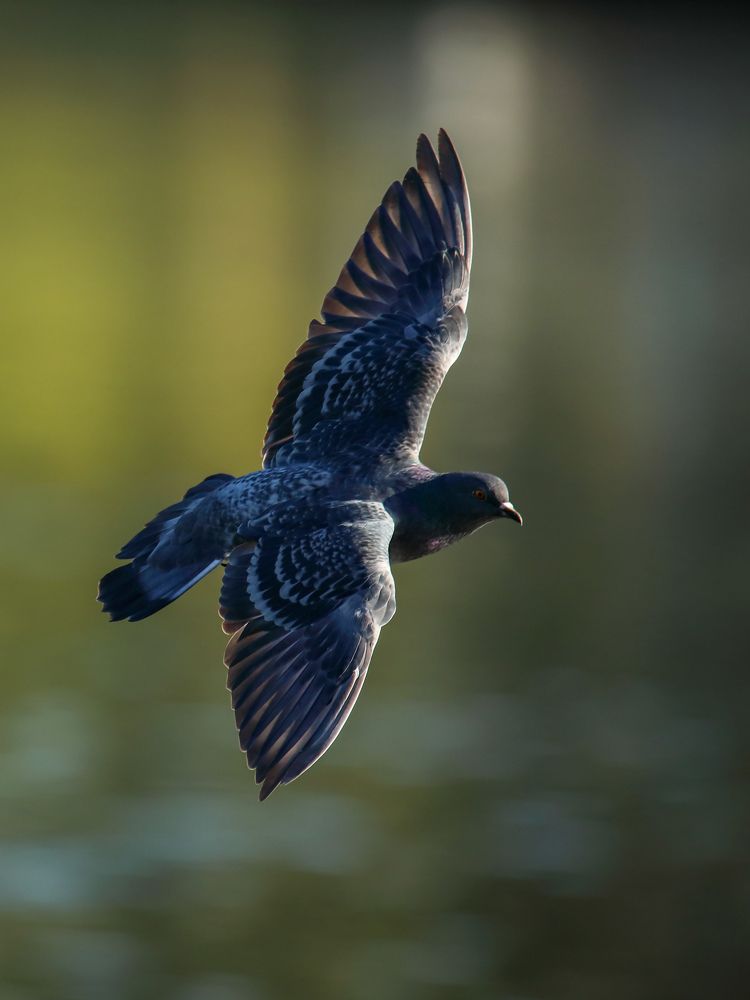 Photograph by Sergey Uskov