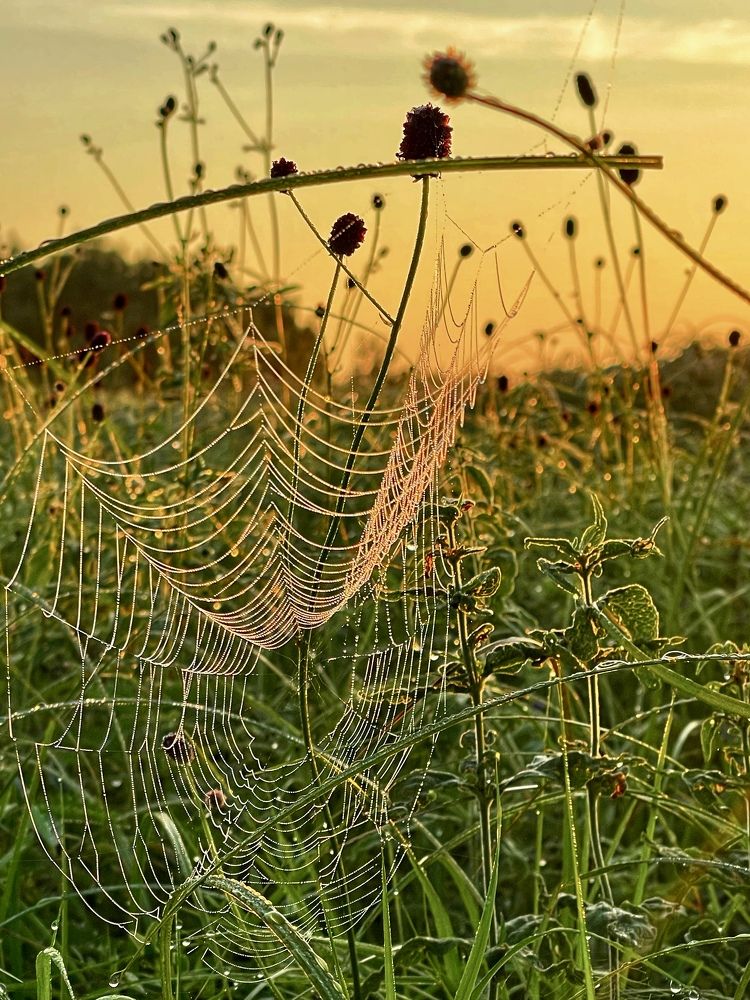 Фотография автора Nadezhda