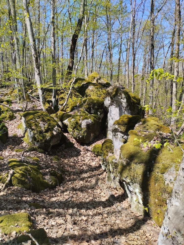 Photograph by Елена Казаренко