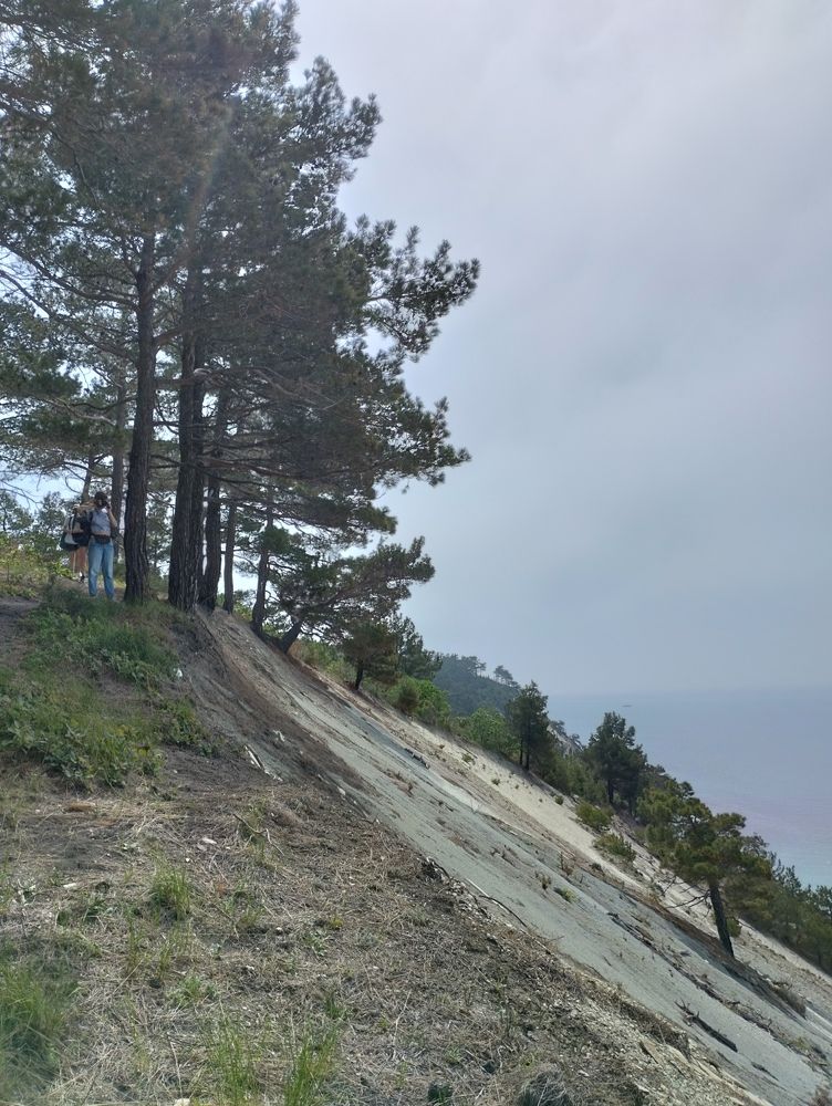 Photograph by Елена Казаренко