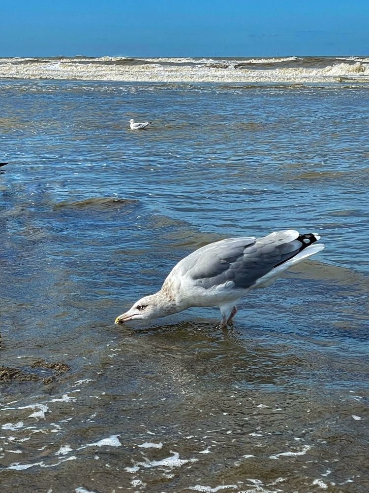Фотография автора Nadezhda