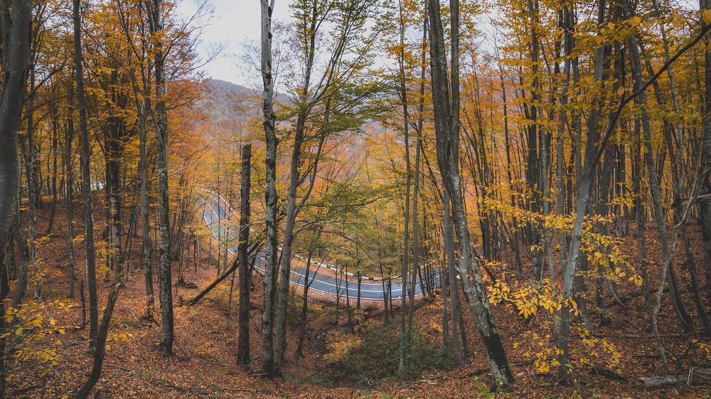 Фотография автора Konstantin Shendel