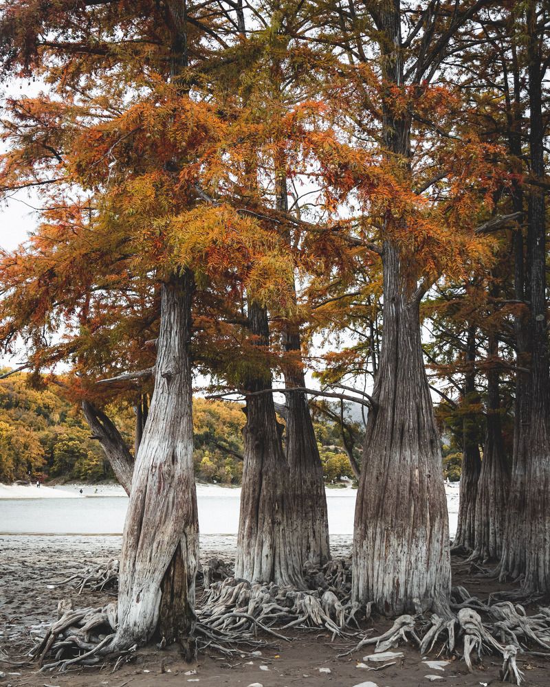 Фотография автора Konstantin Shendel