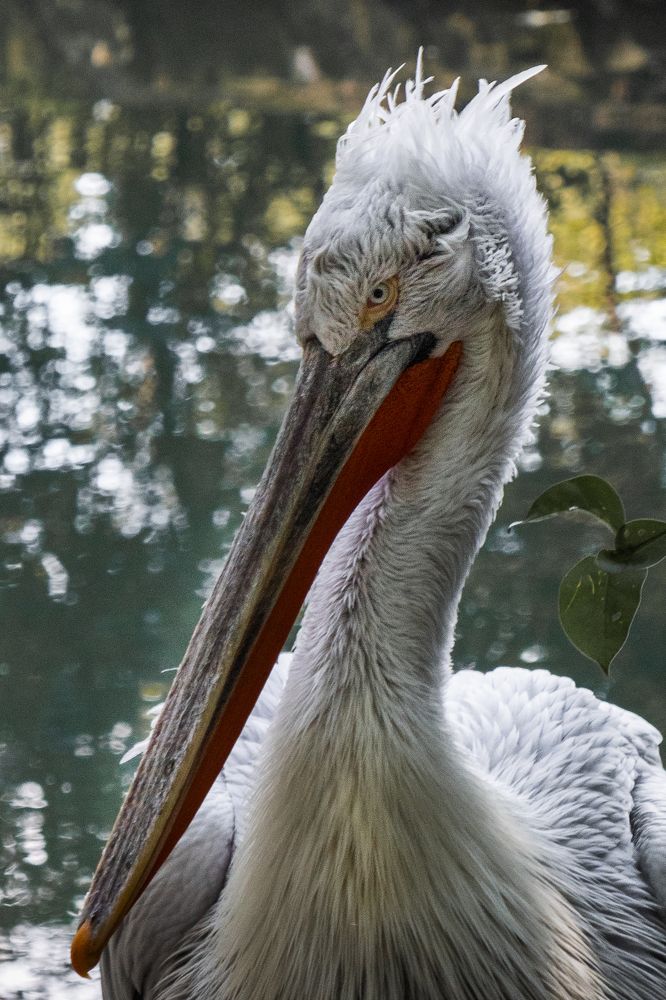 Фотография автора Konstantin Shendel