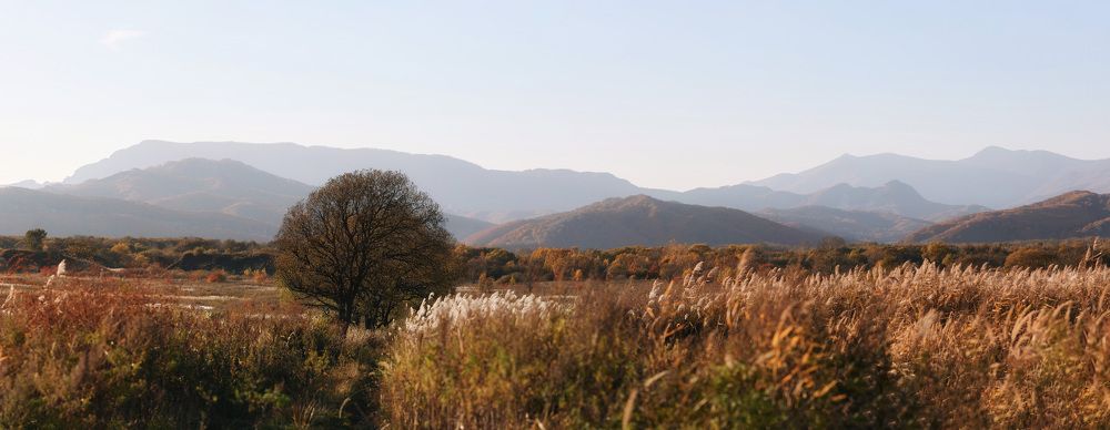 Photograph by Олег Мороз