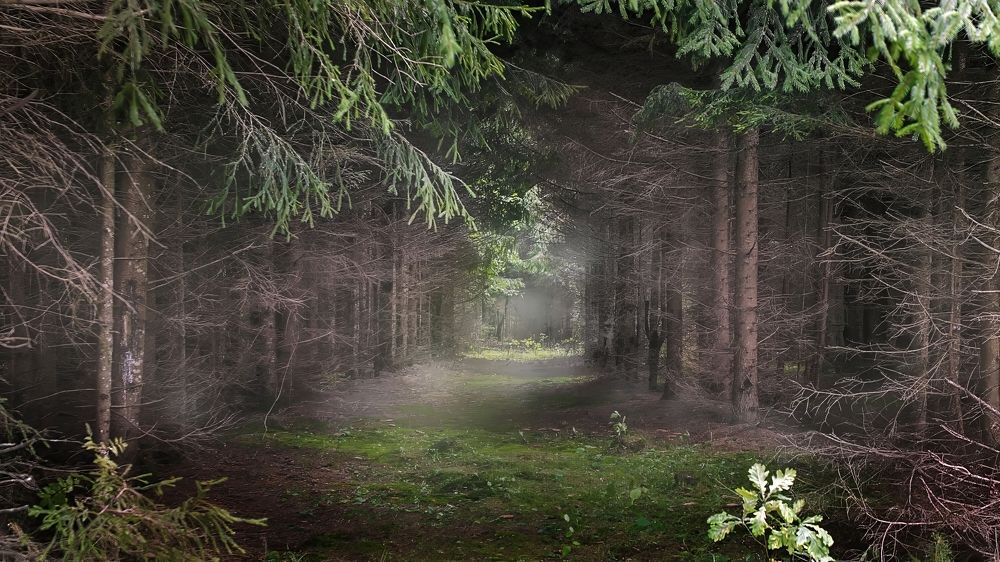 Photograph by Людмила Железнова