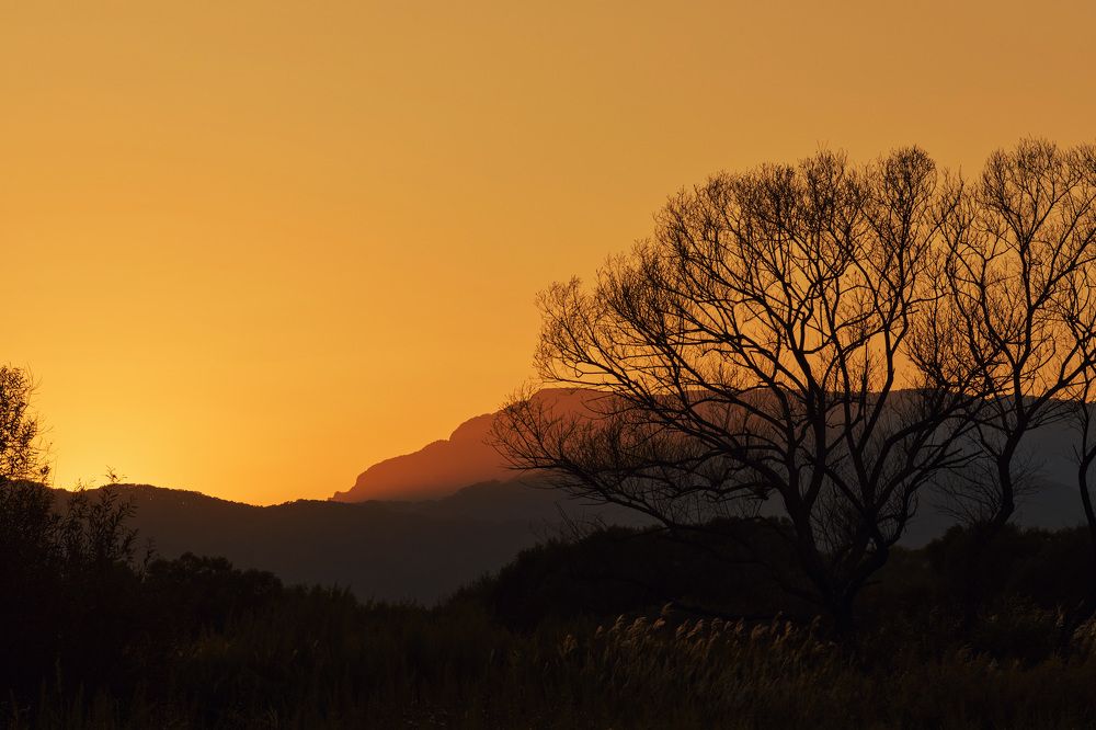 Photograph by Олег Мороз