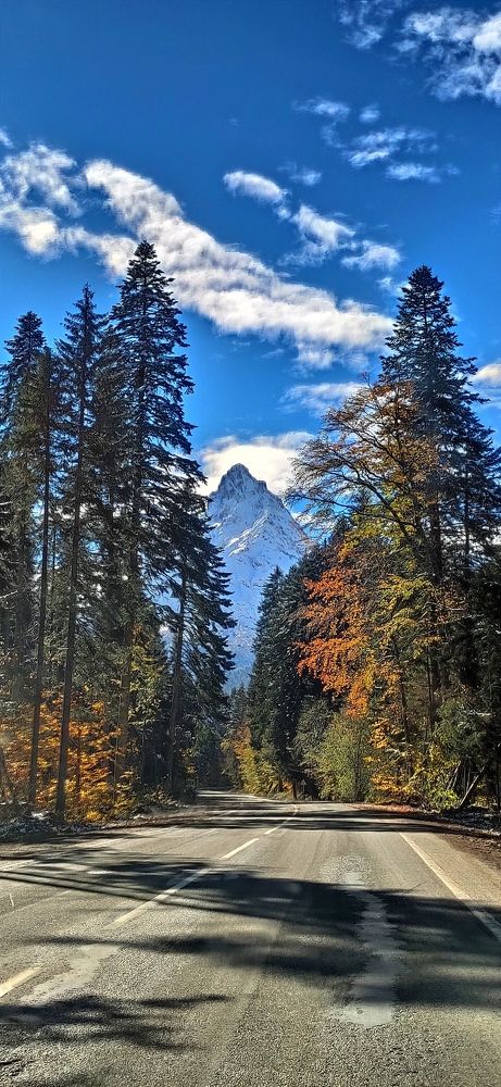 Photo #11228821
