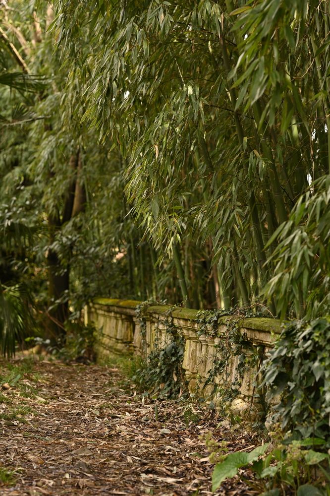 Фотография автора Замира Савинова