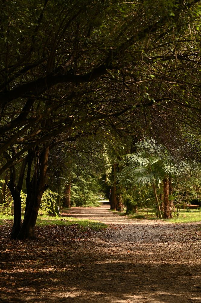 Фотография автора Замира Савинова