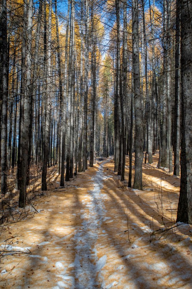 Photograph by Высотских Владимир