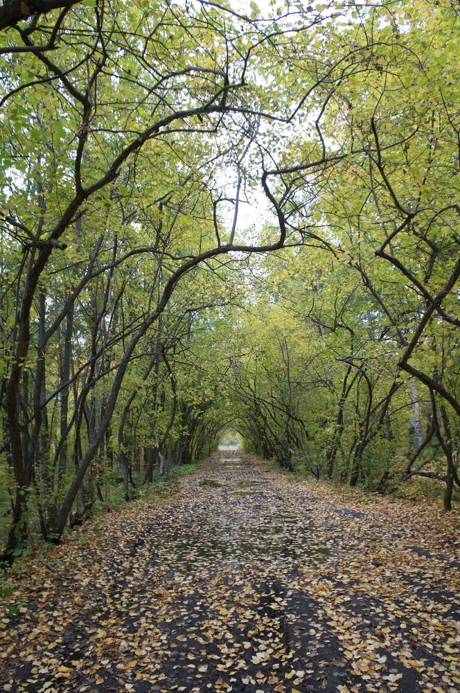 Photograph by Высотских Владимир