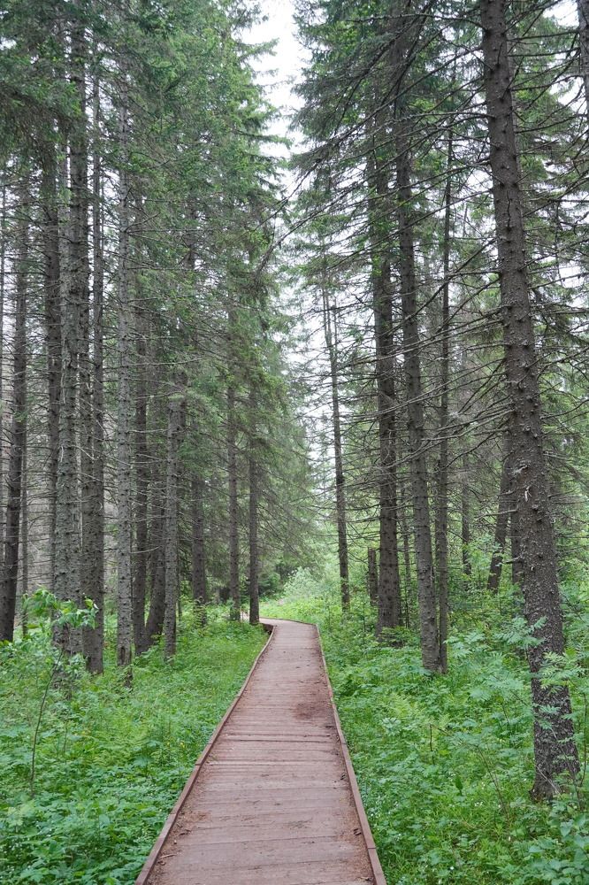 Photograph by Высотских Владимир