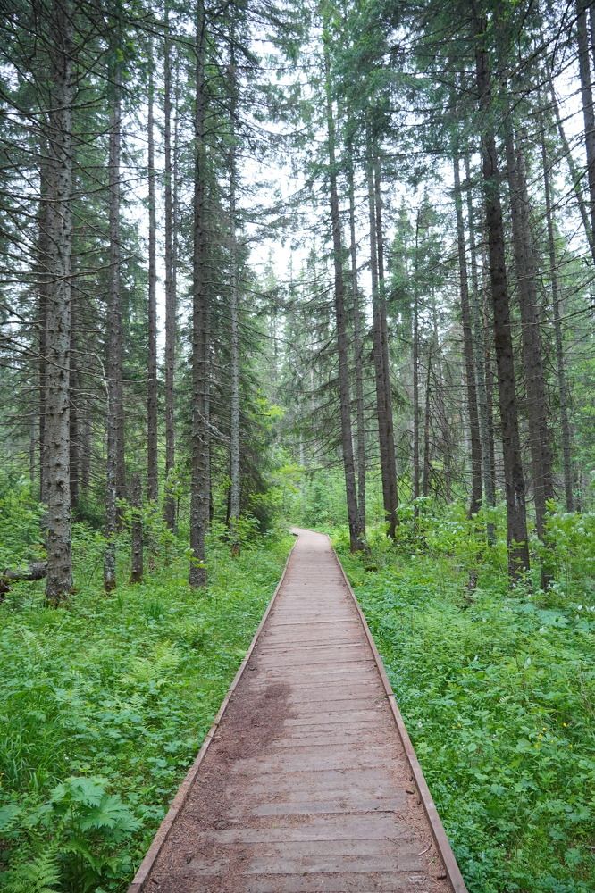 Photograph by Высотских Владимир