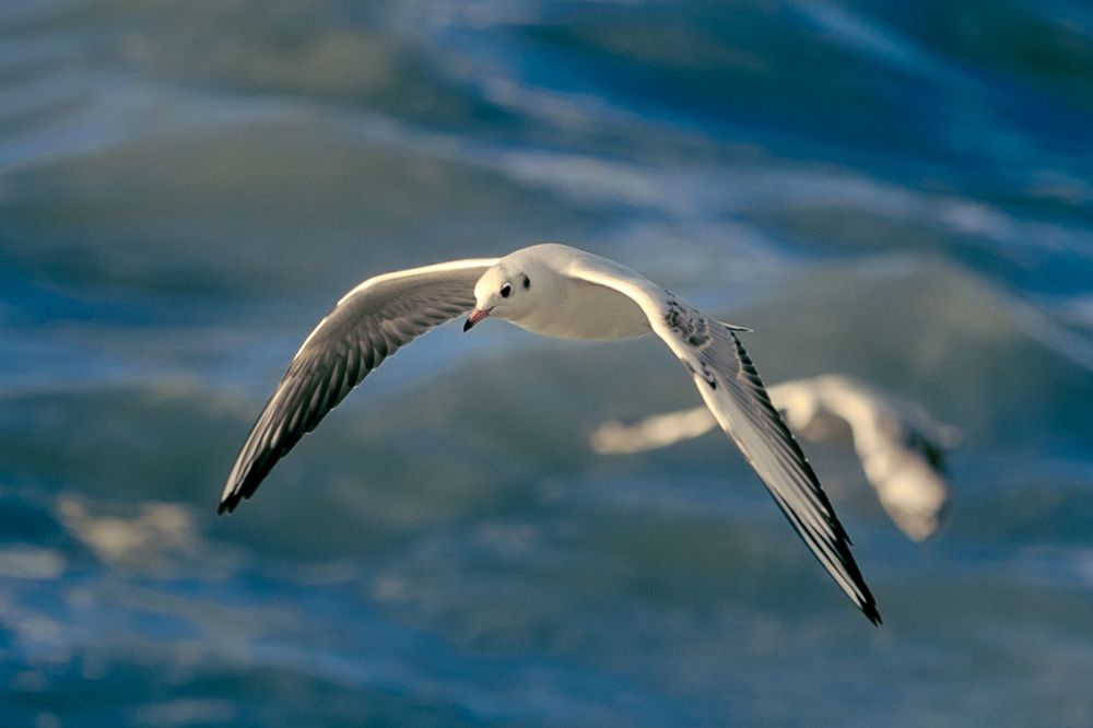 Photograph by Siarhei Saladukhin