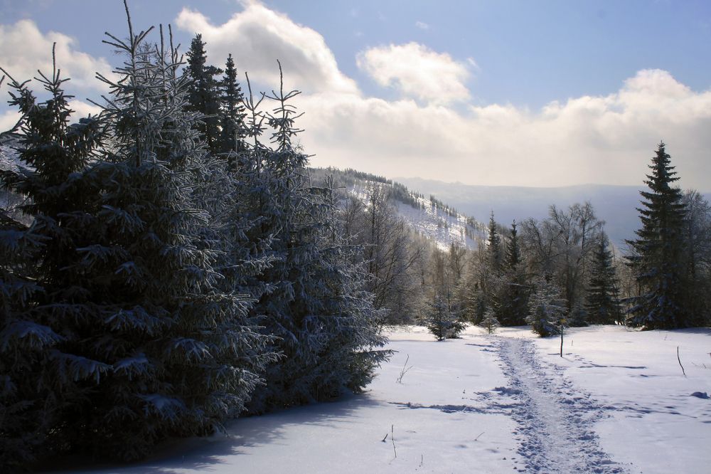 Photograph by Галина Ильясова