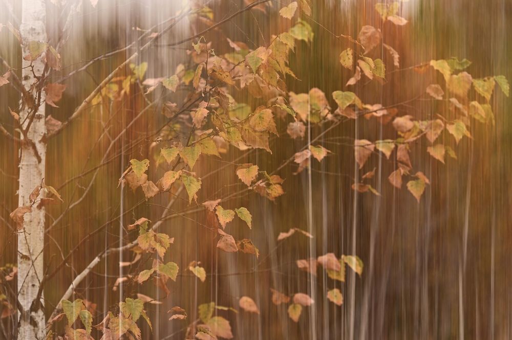 Photograph by Екатерина Рябкова