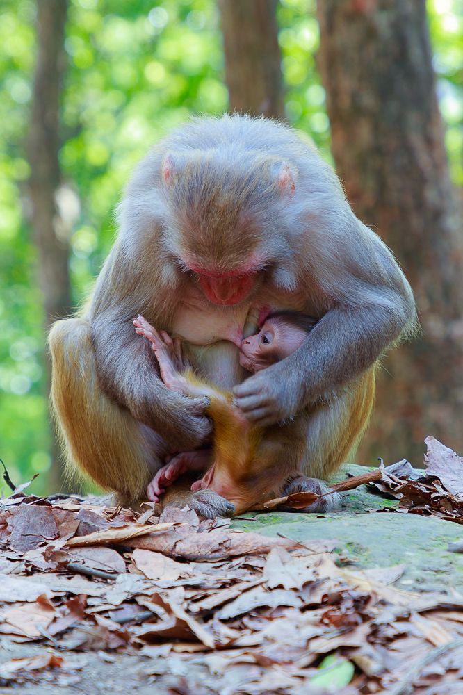 Photograph by sunil sthapit