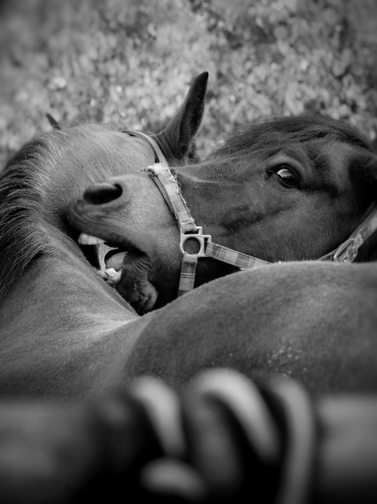 Photograph by Олеся Постнова