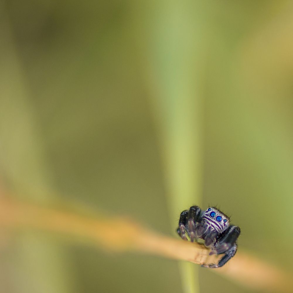 Photograph by Christos K.