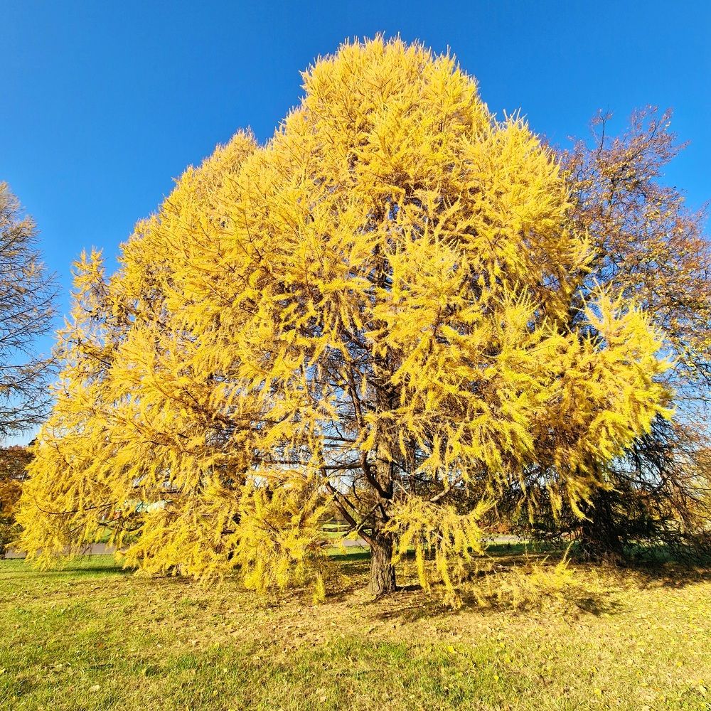 Photograph by Тамара Вотинцева