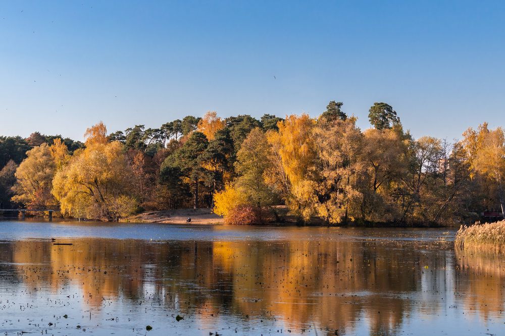 Photograph by Олег Дорошенко