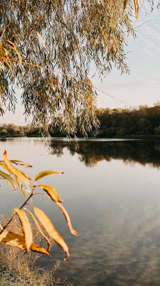 Фотография автора Наталья Тургулайнен