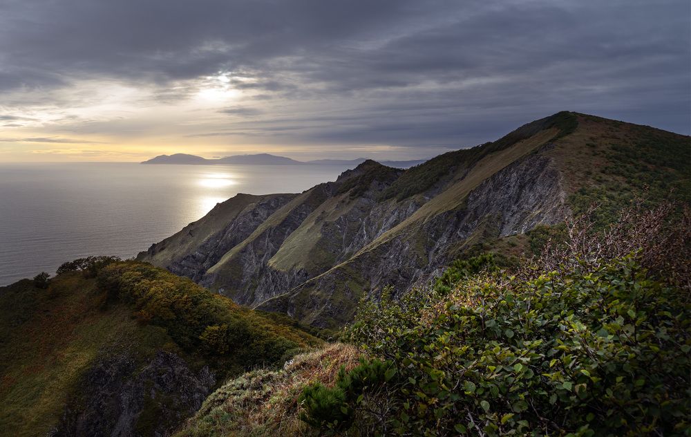 Photograph by Светлана Гореликова