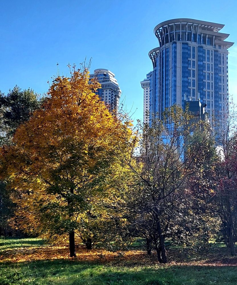 Фотография автора Мария Коледа